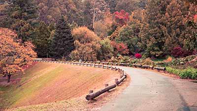 herbst in berlin botanischer garten herbstpfad bigstock 375053347